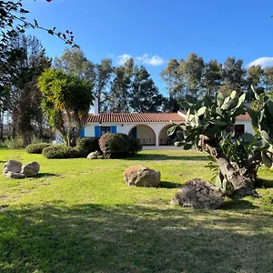 https://bidde-majori.in-sardinia.net